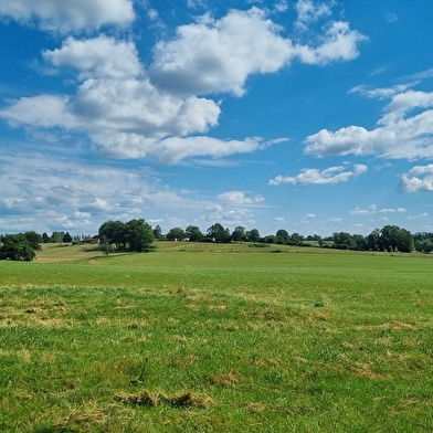 Circuit VTTAE n°9 - Le bocage de Foissiat