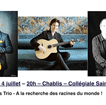 Festival du Chablisien - Eucalyptus Trio - CHABLIS