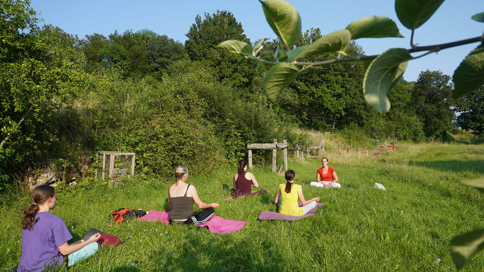 Yoga, ressourcement et découverte de l'univers des abeilles