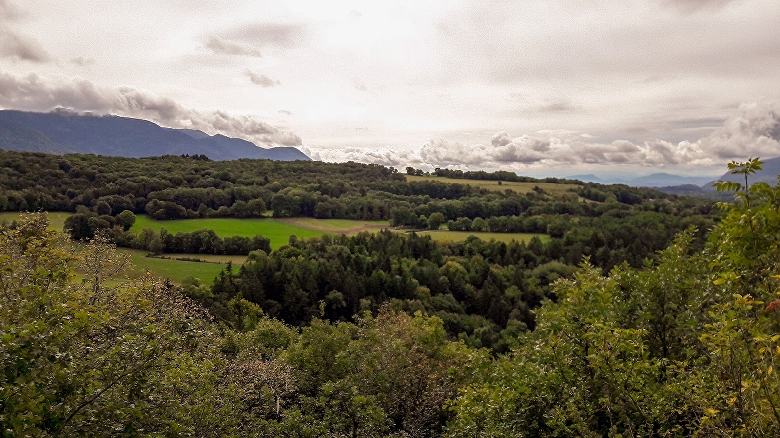 Randonnée du Bois du Geay