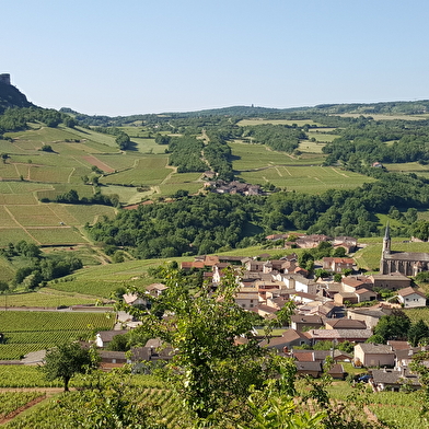 Visite et Dégustation