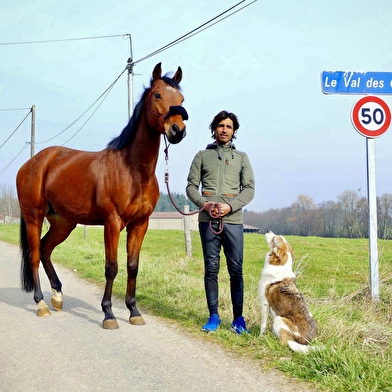 Haras du Val des Charmes