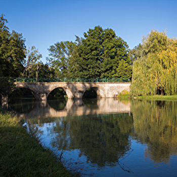Le Site de Fleury - BICHES