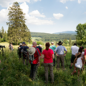 Sorties nature avec la Maison de la Réserve - LABERGEMENT-SAINTE-MARIE