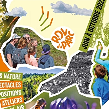 Atelier créatif : L’art d’imprimer la nature - LAJOUX