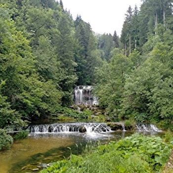 Source de l’Ain et cascade du Moulin du Saut - CONTE