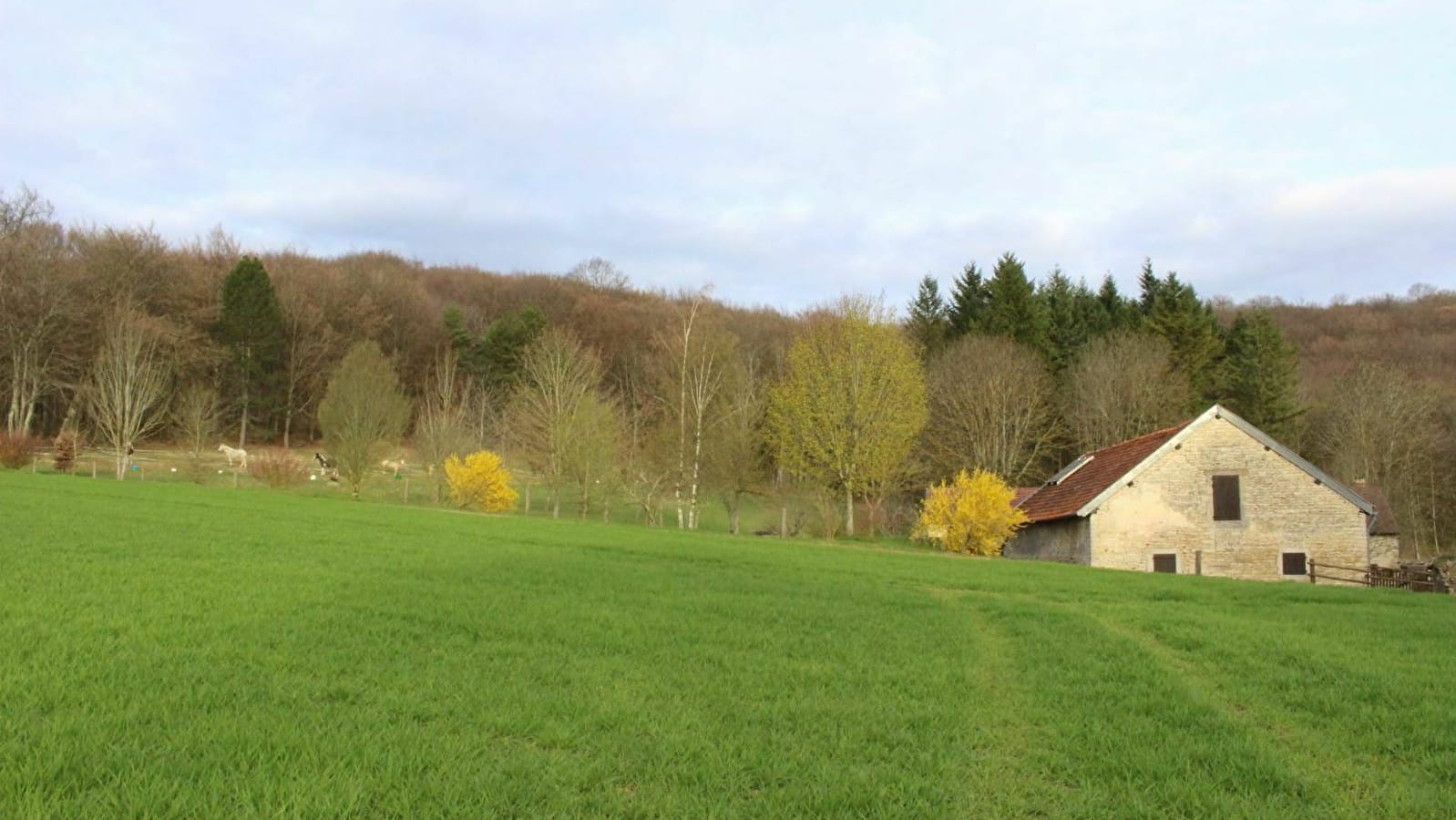 La Rente de Chamerey