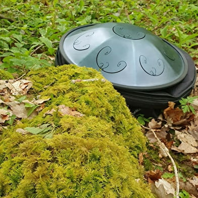 Évasion Sonore en Forêt