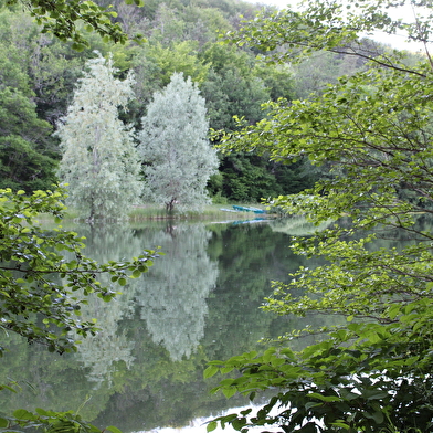 Domaine de la Combe Rossignol