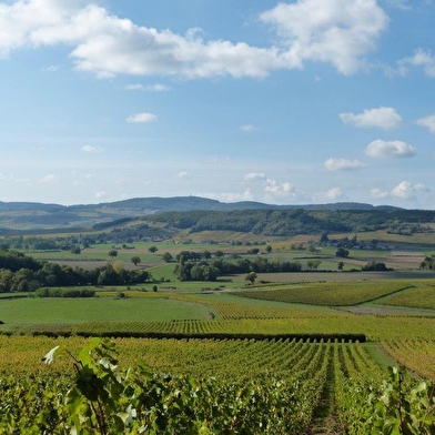 Les Sarmentelles