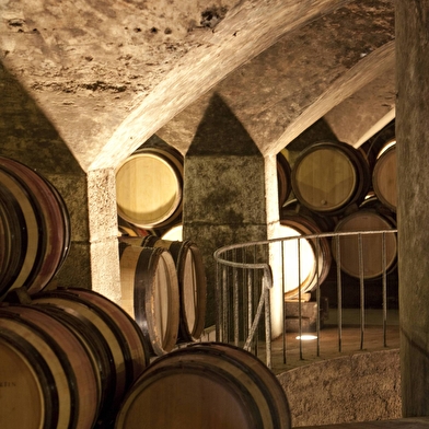 Domaine Chanson - Visite des caves & dégustation spéciale Vente des Vins 2025 de 6 grands vins