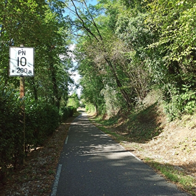 Circuit des voies vertes : Viarhôna et ancien chemin du tram