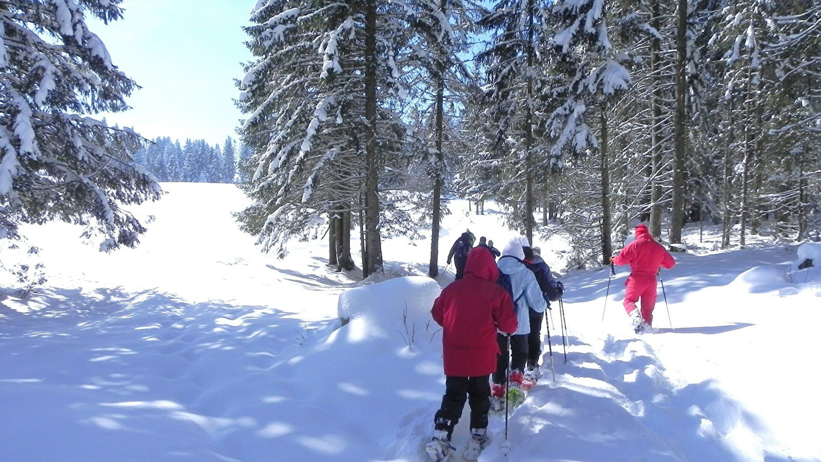 Balade découverte de la raquette à neige