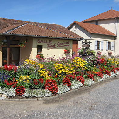 Circuit randonnée : Au bois rond