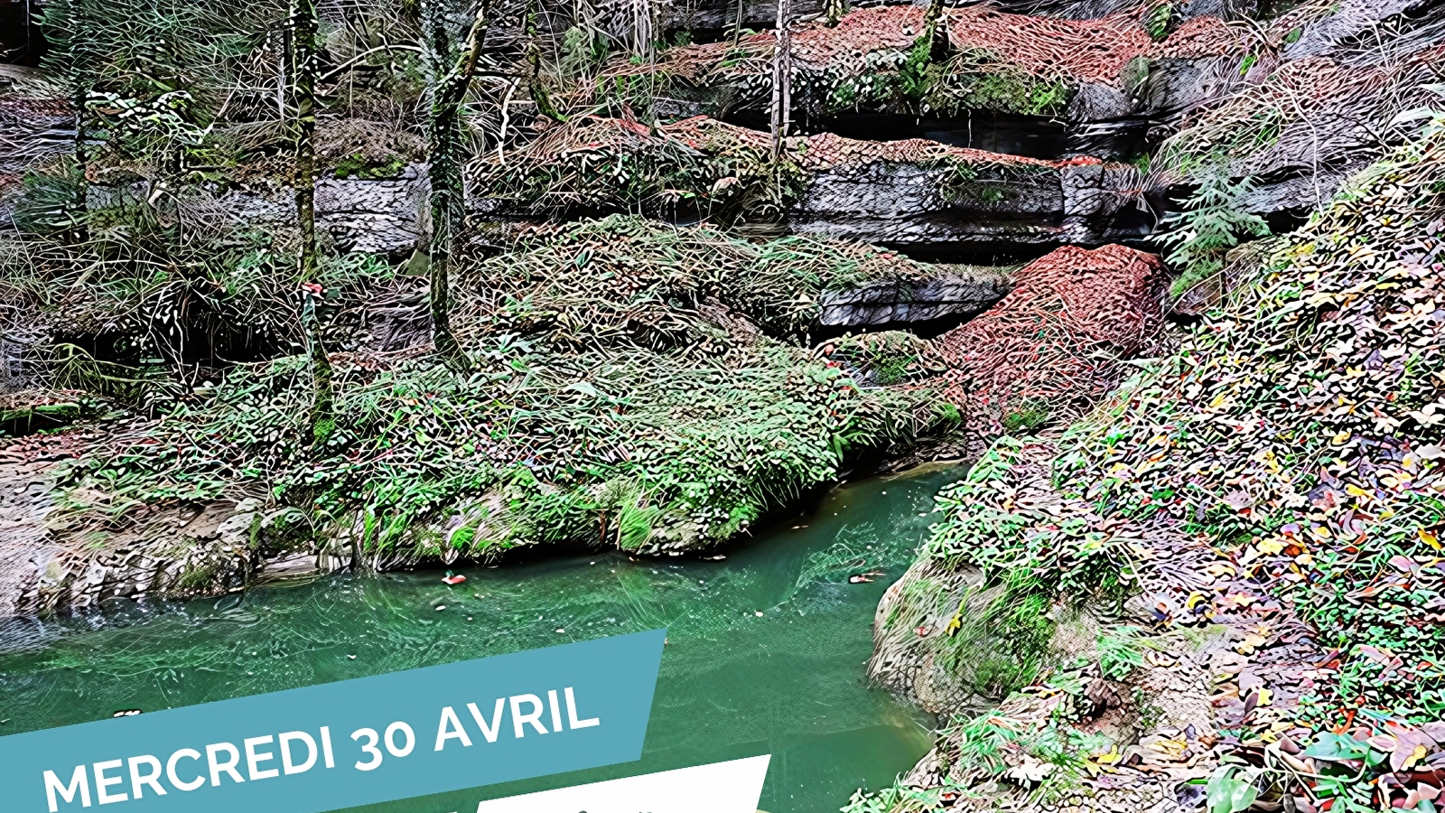 Balade découverte - Les Sources de l'Ain