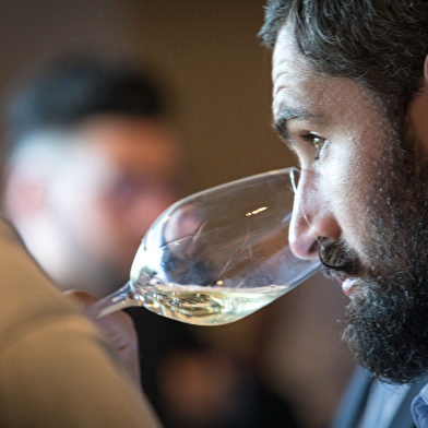 Wine Tour : Tasting dans les Grandes Maisons de Bourgogne