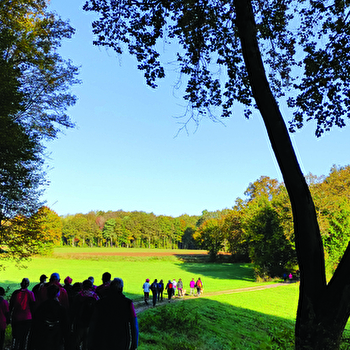 Trail des dolines - DAMPIERRE-SUR-LINOTTE