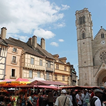 Excursion : les secrets de Chalon sur Saône - LONS-LE-SAUNIER