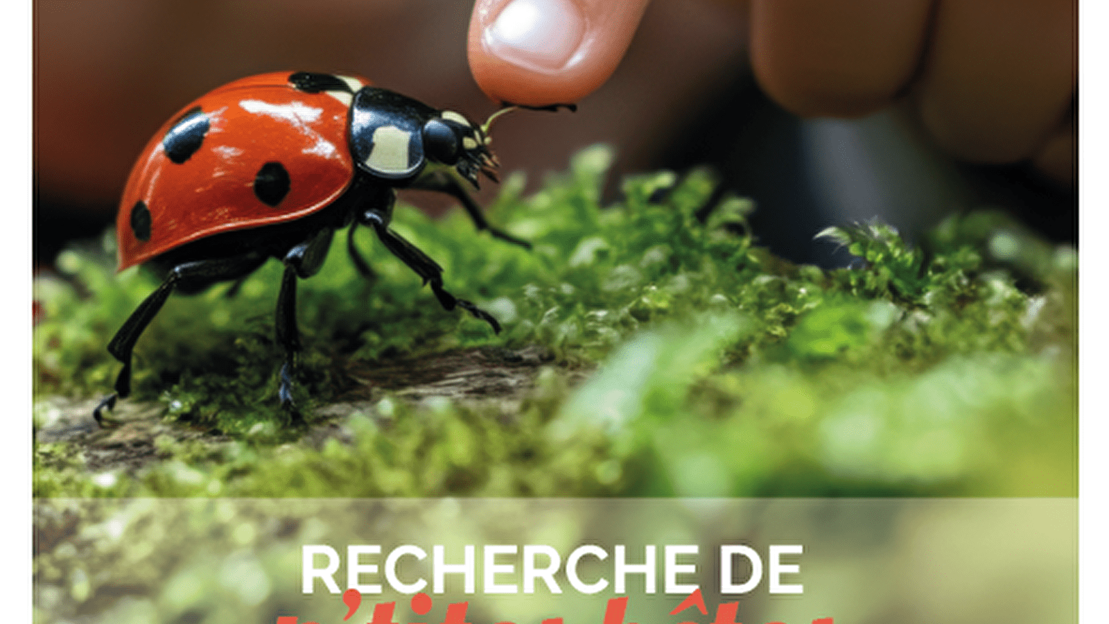 Recherche de p'tites bêtes aux Cascades du Hérisson