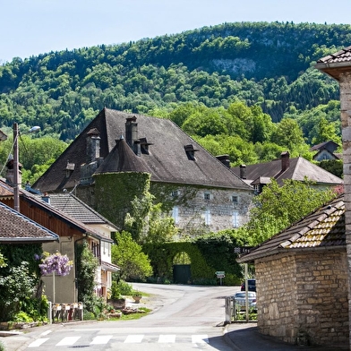 Vieux château de Sainte-Anne