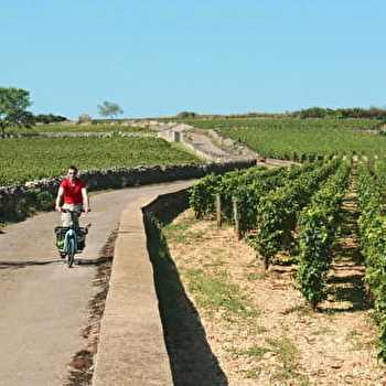 La Voie des Vignes : de Marsannay-la-Côte à Santenay - MARSANNAY-LA-COTE