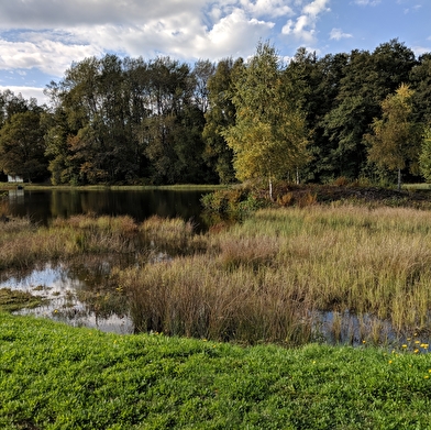 Le Beuletin et les étangs