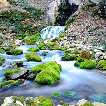 Source du Bel Affreux - ANTHEUIL