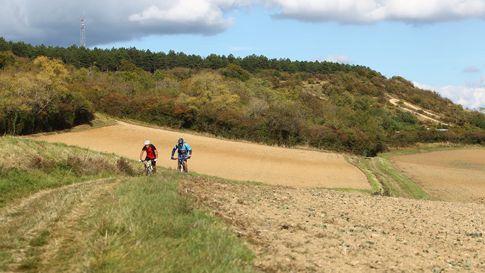 Circuit VTT n° 3 Vert  de Varzy