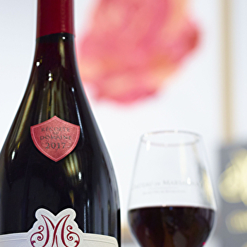 Domaine du Château de Marsannay - MARSANNAY-LA-COTE