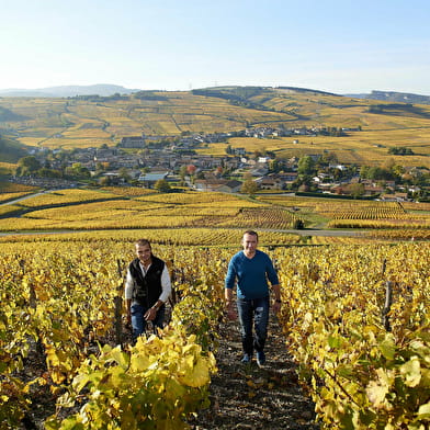 Domaine de la Croix Senaillet - Martin Richard et Stéphane