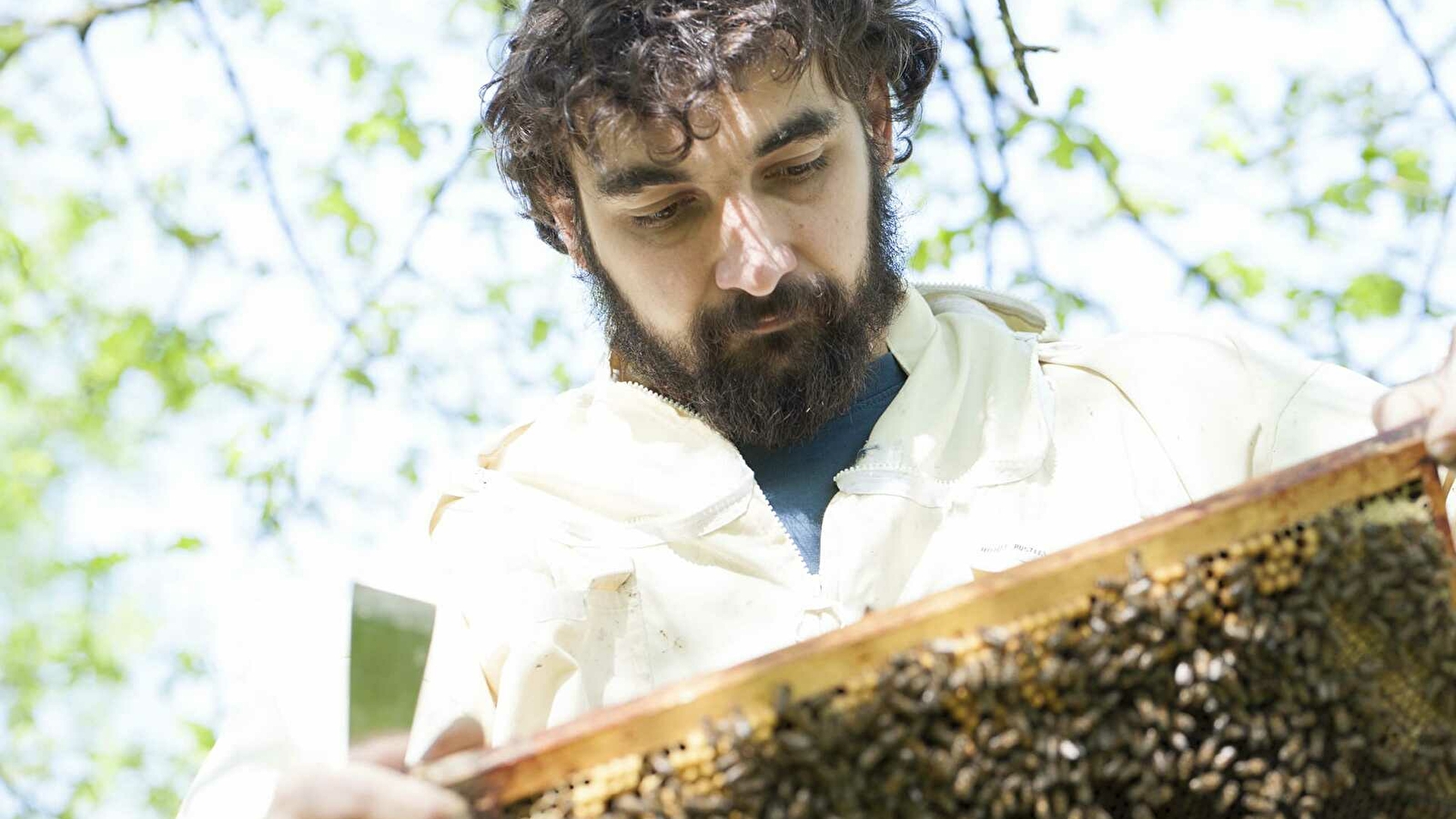 Marc Robin - apiculteur