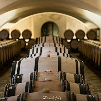 Dégustation privative du Château de Marsannay - MARSANNAY-LA-COTE