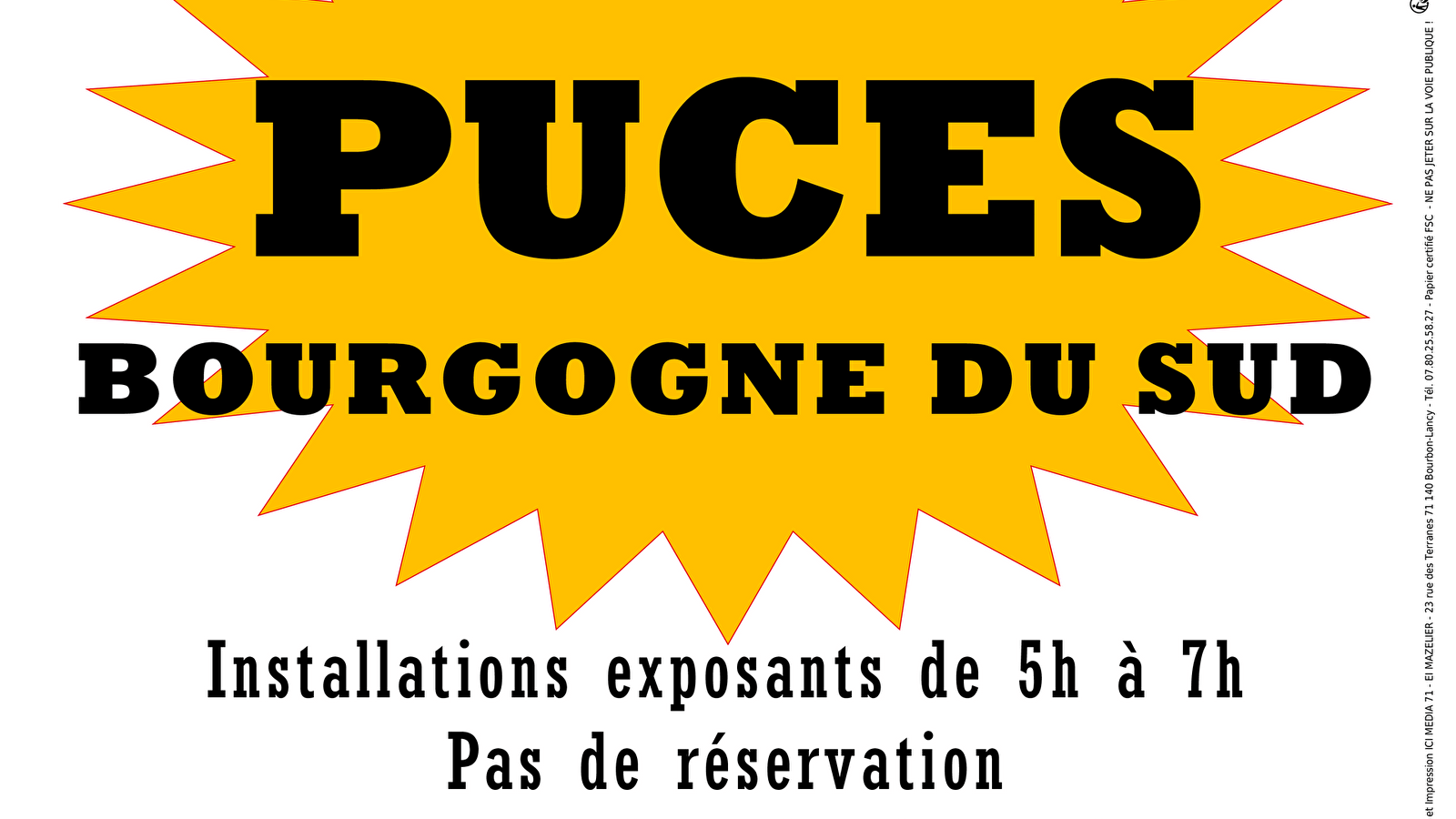 Puces Bourgogne du Sud