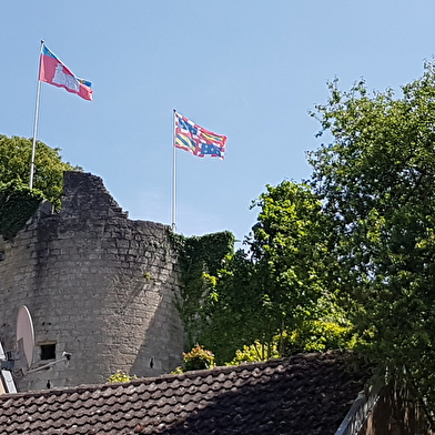 Vestiges du Château des Ducs de Bourgogne