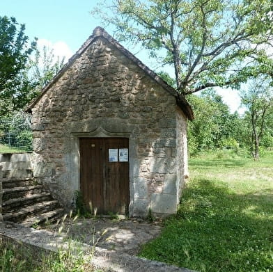 L'eau et la forêt