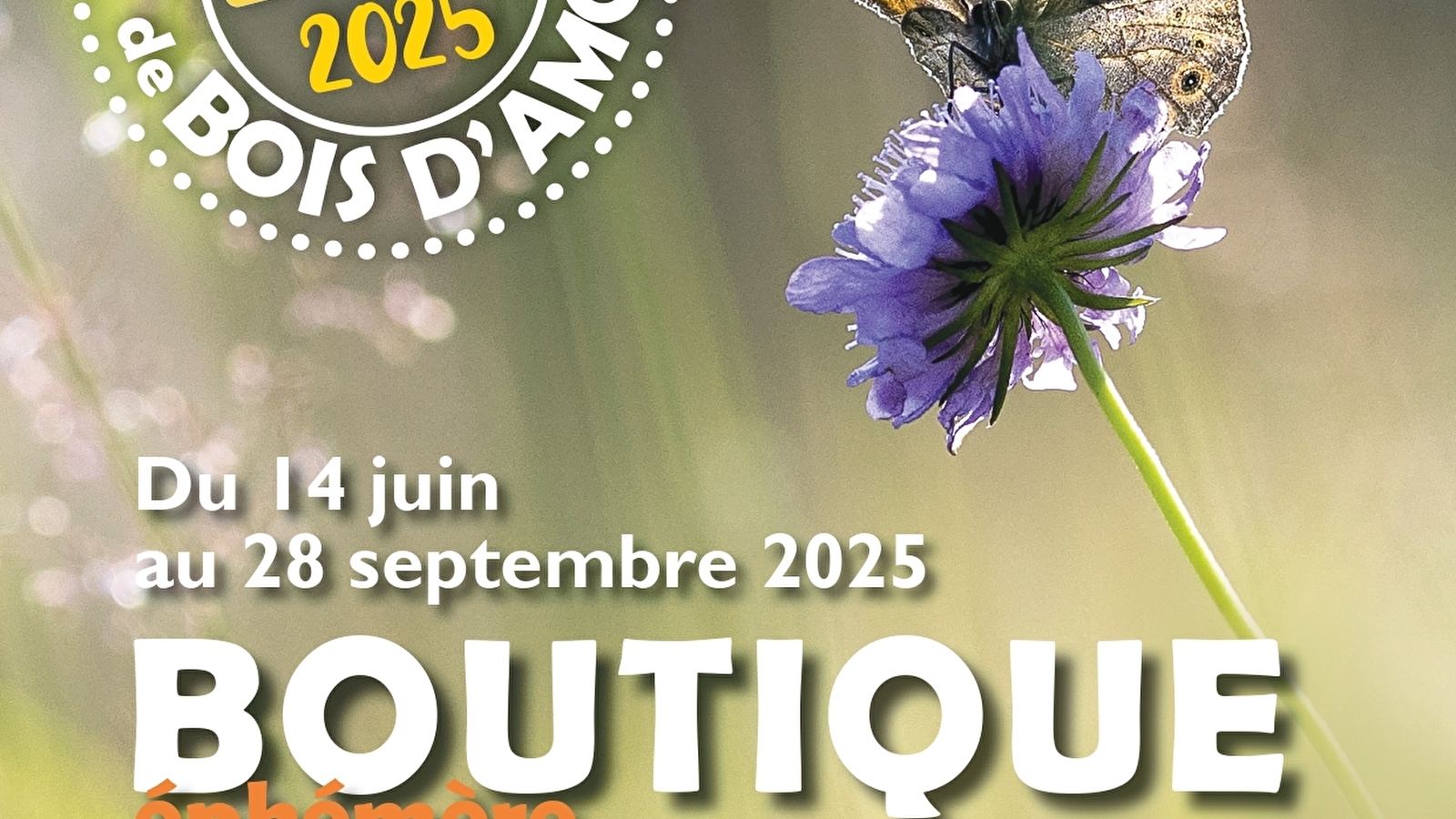 Le bel été de Bois d'Amont