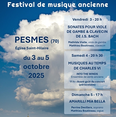 Musique en tribune - Festival de musique ancienne / Sonates pour viole de gambe & clavecin de Johann Sebastian Bach