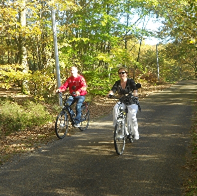 Location de vélos au 'Gîte Belle Vue'