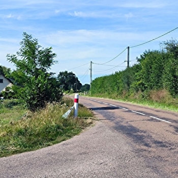 Ligne de démarcation - ancien poste de contrôle allemand - Poteau - POISSON