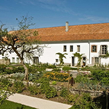 Gustave à bicyclette - ORNANS