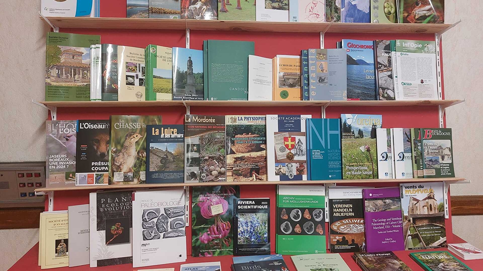 Journées Européennes du Patrimoine : À la découverte de la bibliothèque de la SHNA