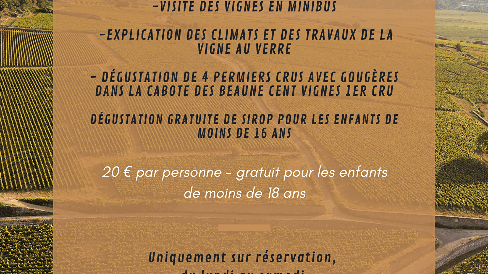 Dégustation découverte des Climats de Beaune