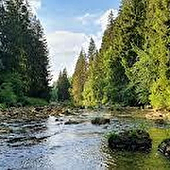 Gorges du Fourperet - LONGEVILLES-MONT-D'OR