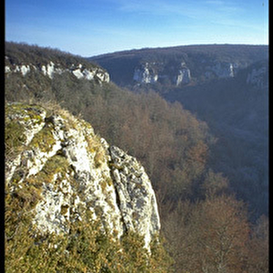 Réserve Naturelle de la Combe Lavaux - Jean Roland