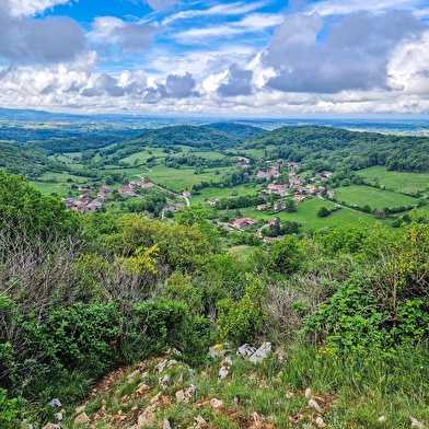 Randonnée - Belvédère de la Croix de la Dent