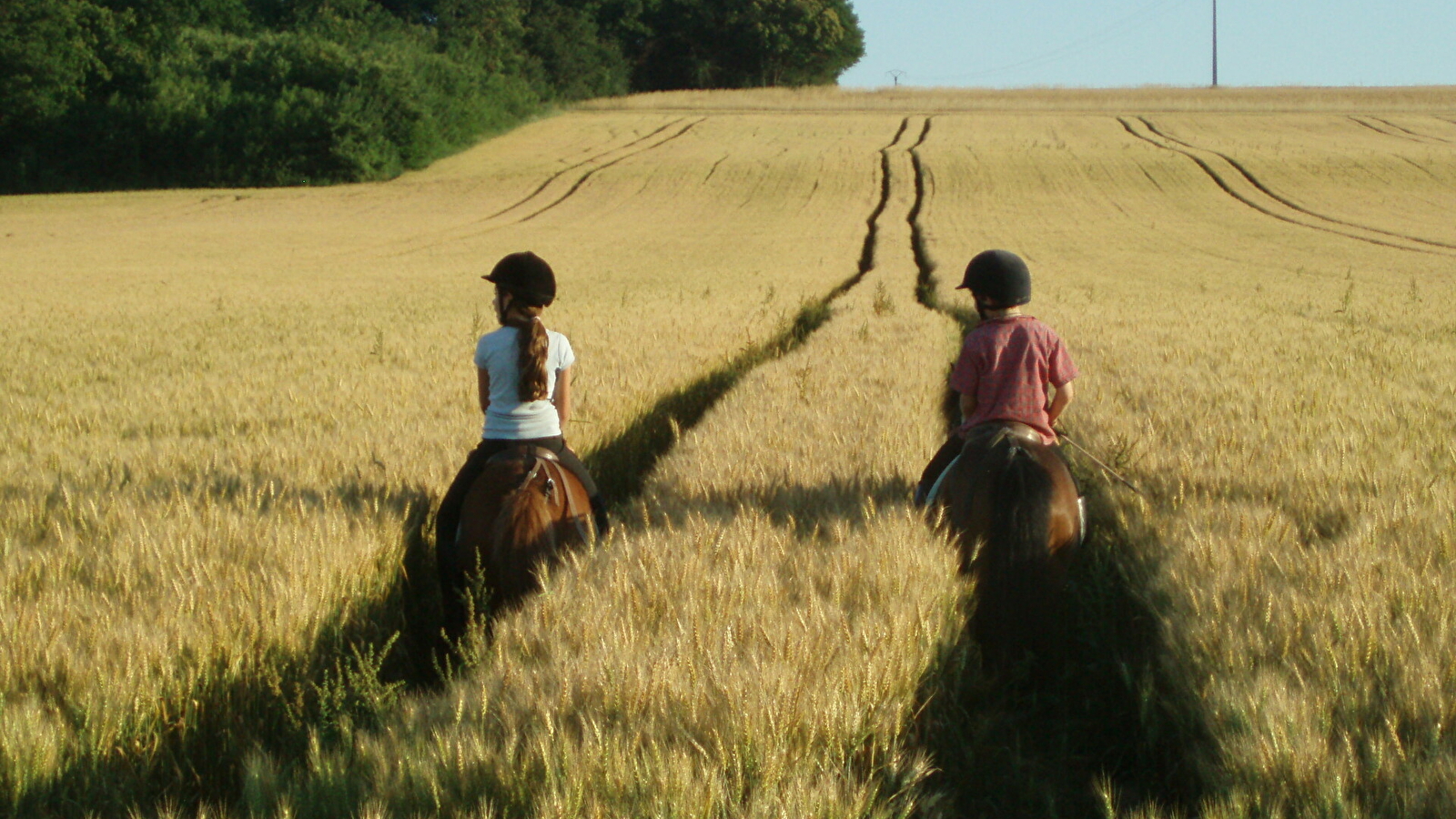 Poney-club de Laizé/Centre équestre