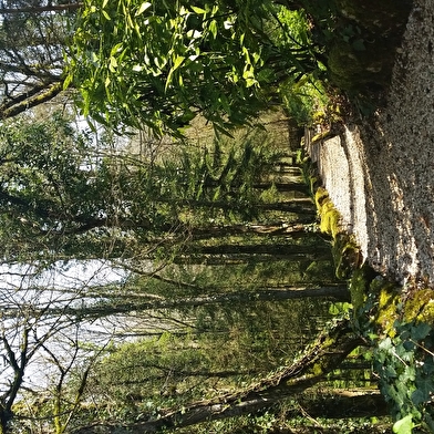 RDV aux Jardins au jardin de la Serrée