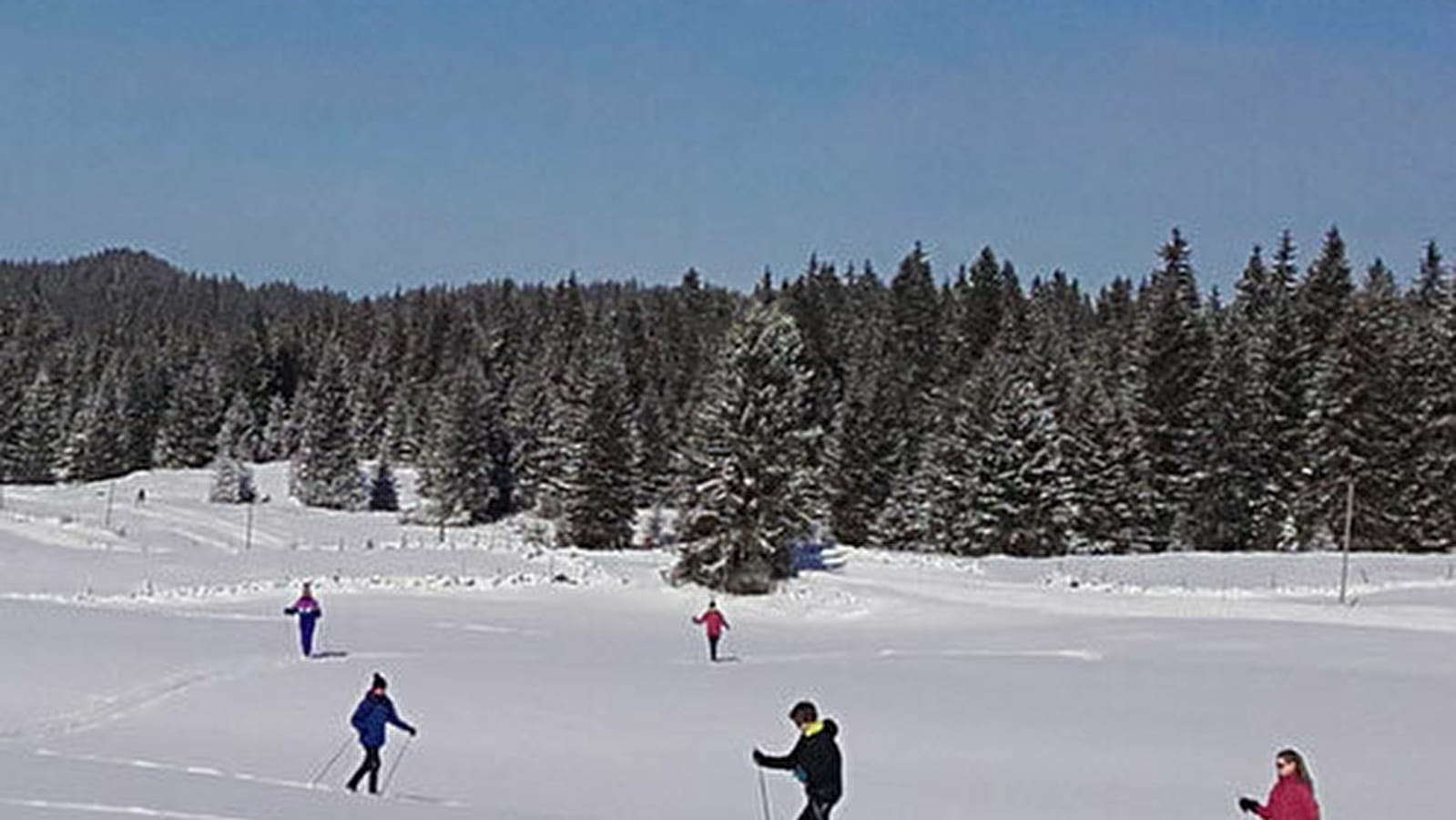 Stage en classique : skieur débutant