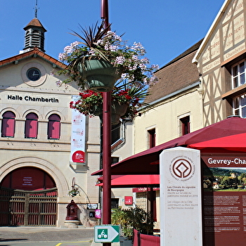 Excursion Gourmande - Groupe -