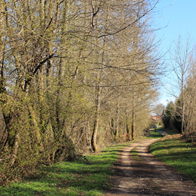 Circuit à la découverte de Fontaine